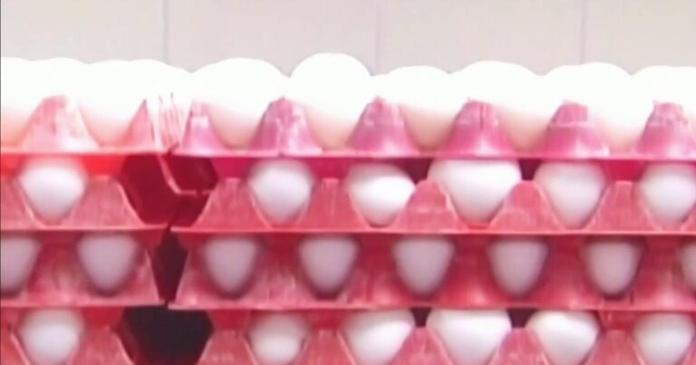 Alerta sanitaria por supuestos huevos contaminados de venta en Costco