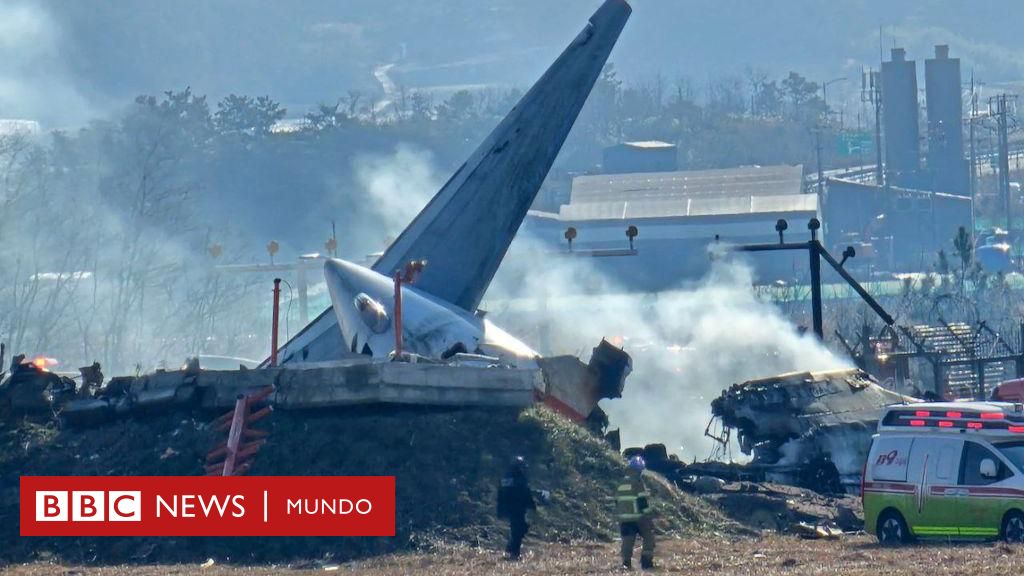 ¿Por qué había un muro al final de la pista en la que ocurrió el accidente de avión en el que murieron 179 personas en Corea del Sur? ¿Por qué había un muro al final de la pista en la que ocurrió el accidente de avión en el que murieron 179 personas en Corea del Sur?