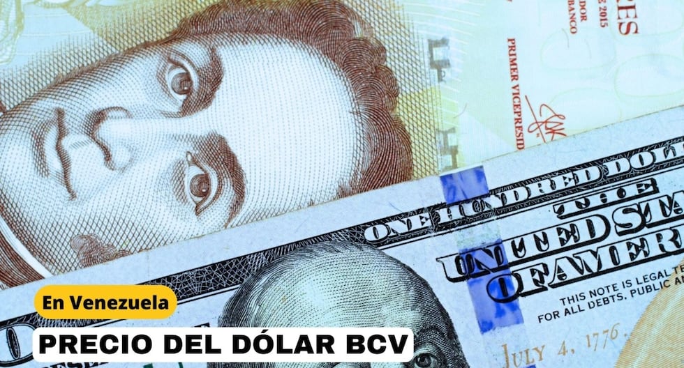 Cuánto está el Dólar BCV HOY, 20 de diciembre: Tasa según el Banco Central de Venezuela | RESPUESTAS Cuánto está el Dólar BCV HOY, 20 de diciembre: Tasa según el Banco Central de Venezuela | RESPUESTAS