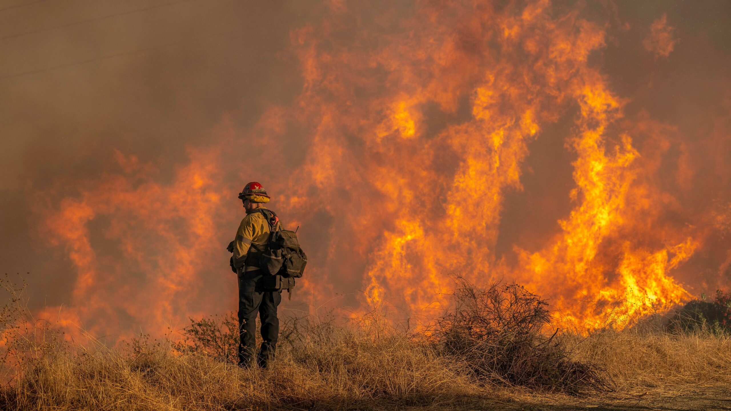 Aumenta a 24 el número de muertos en los incendios de Los Ángeles