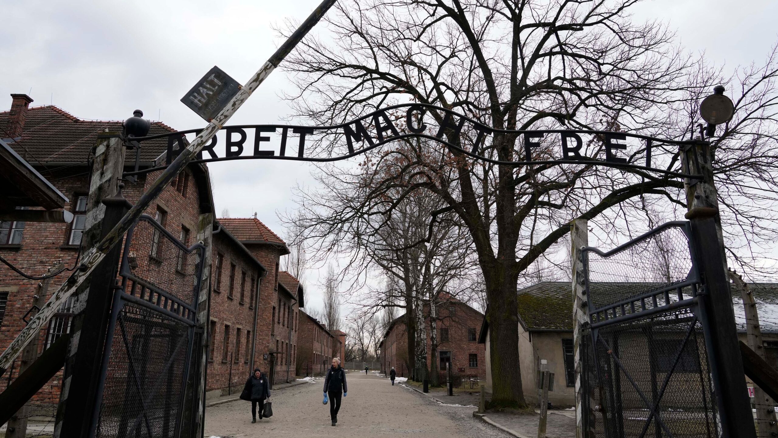 Nueve libros sobre el Holocausto Nueve libros sobre el Holocausto