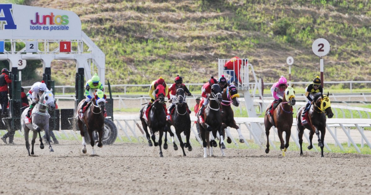 Así ajustó la línea de Gaceta Hípica para la segunda jornada dominical en La Rinconada Así ajustó la línea de Gaceta Hípica para la segunda jornada dominical en La Rinconada