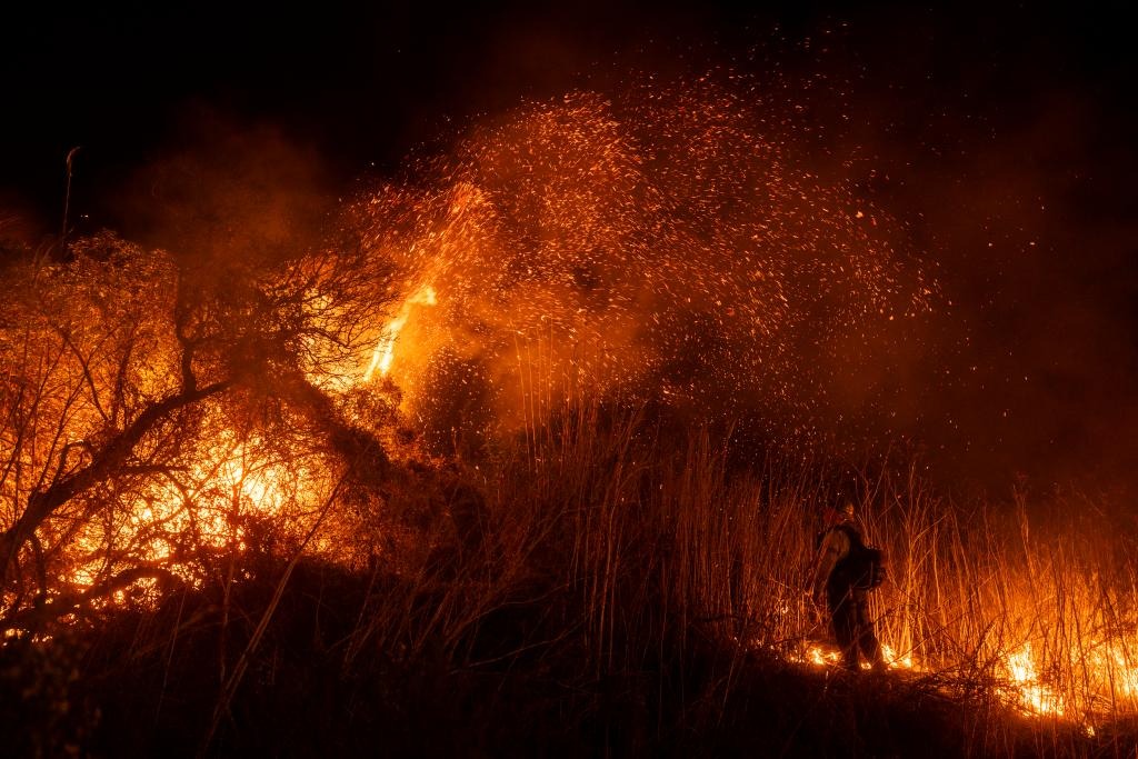 Reconocida actriz perdió la vida en medio de los devastadores incendios en Los Ángeles Reconocida actriz perdió la vida en medio de los devastadores incendios en Los Ángeles