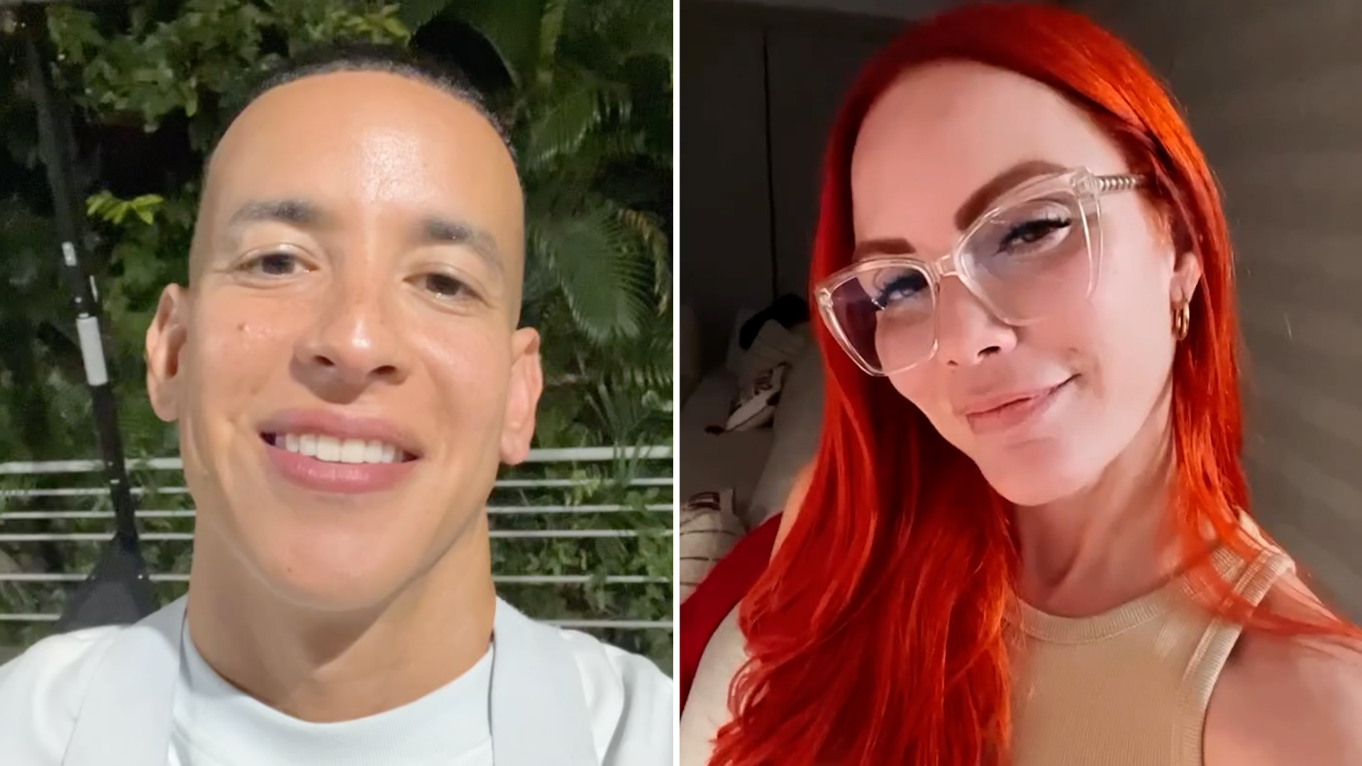 Daddy Yankee en corte: abogada de Mireddys González revela a dónde pararon los 100 millones de dólares | Univision Famosos Daddy Yankee en corte: abogada de Mireddys González revela a dónde pararon los 100 millones de dólares | Univision Famosos