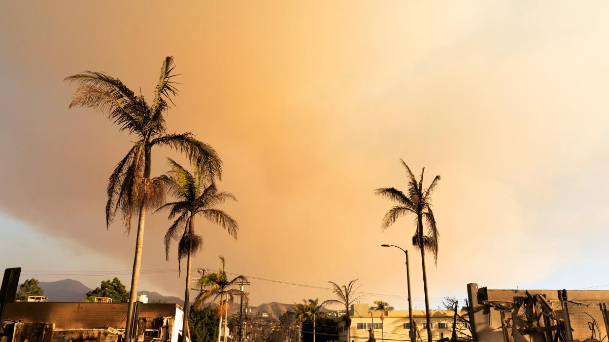 Arde Hollywood, por Jordi Basté Arde Hollywood, por Jordi Basté