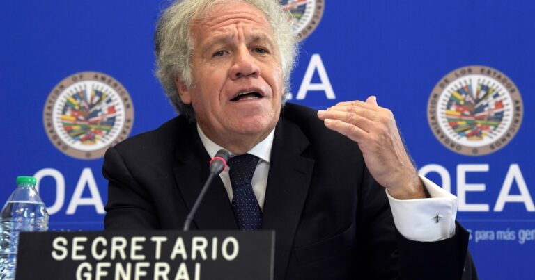 La OEA condenó la detención del gendarme argentino en Venezuela: “Es un crimen de lesa humanidad”