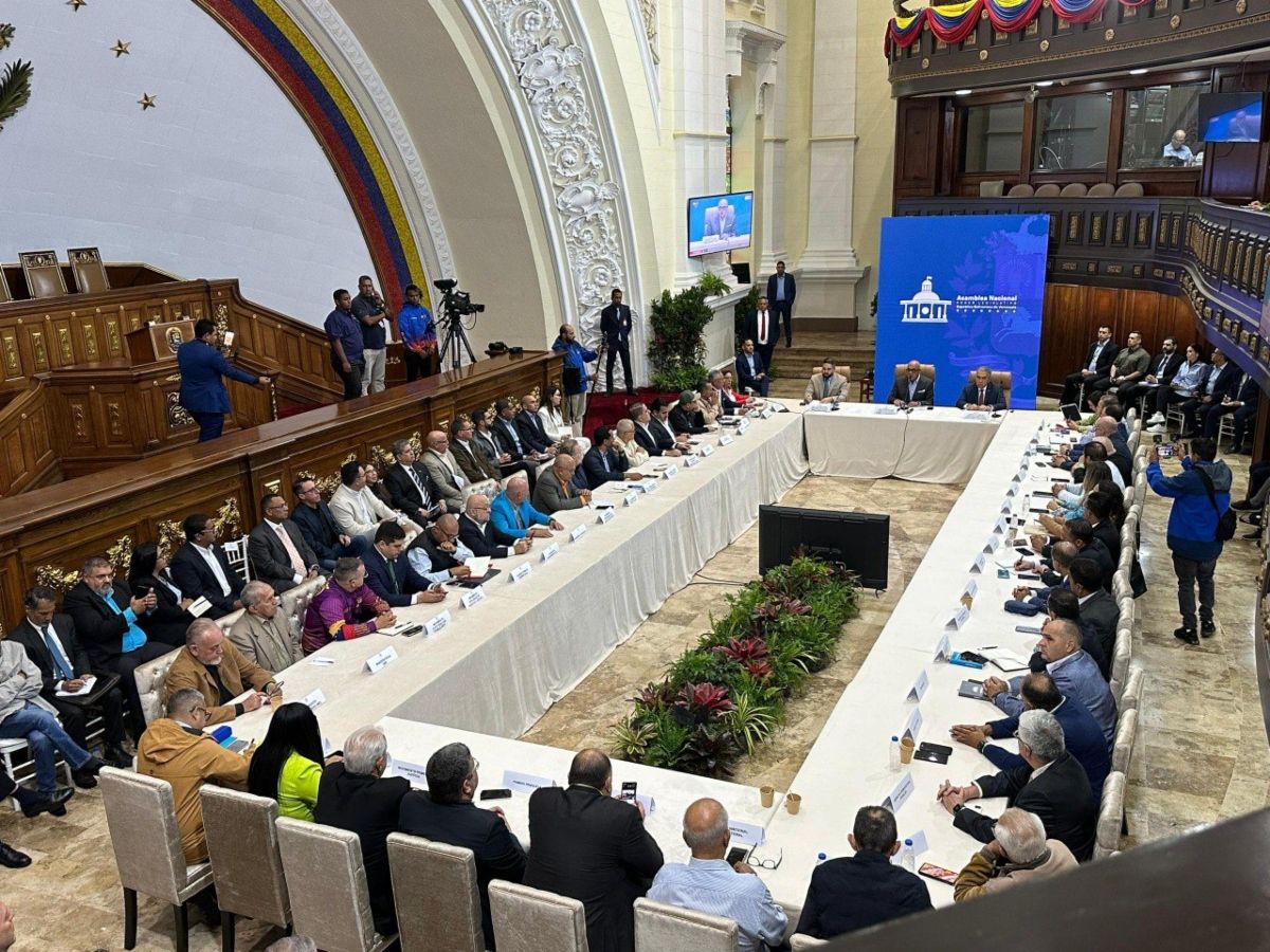 AN de Venezuela instala comisión de diálogo para elaborar propuesta de cronograma electoral