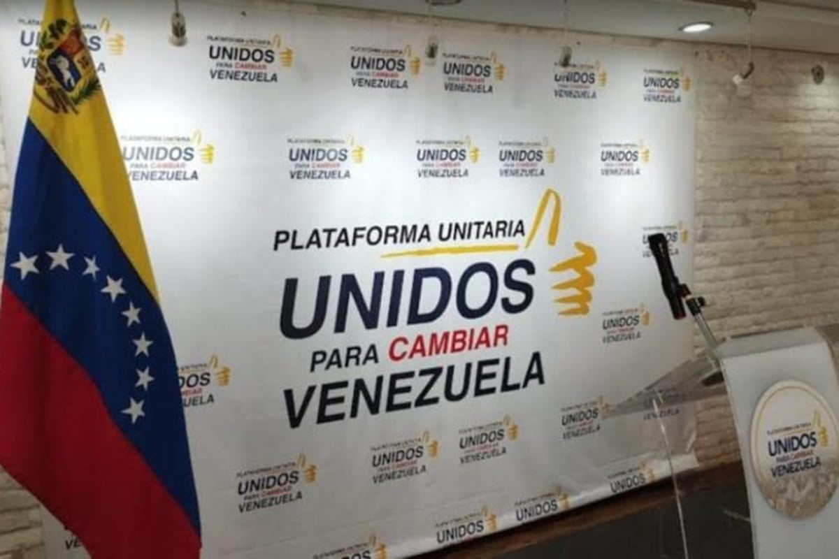 PUD agradeció respaldo de la comunidad internacional a los venezolanos PUD agradeció respaldo de la comunidad internacional a los venezolanos