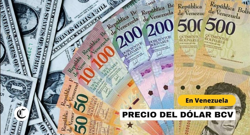 Cuánto está el Dólar BCV HOY, 14 de febrero: Tasa según el Banco Central de Venezuela | RESPUESTAS Cuánto está el Dólar BCV HOY, 14 de febrero: Tasa según el Banco Central de Venezuela | RESPUESTAS