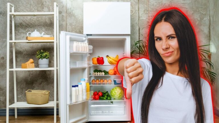 El refrigerador común es de otro siglo, esta es la nueva tendencia en las cocinas modernas