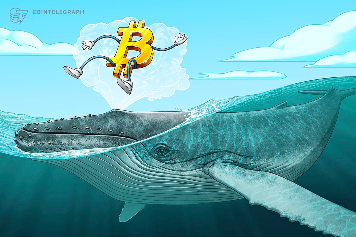 Precio de Bitcoin cae hacia mínimos del rango, pero datos muestran ballenas muy activas