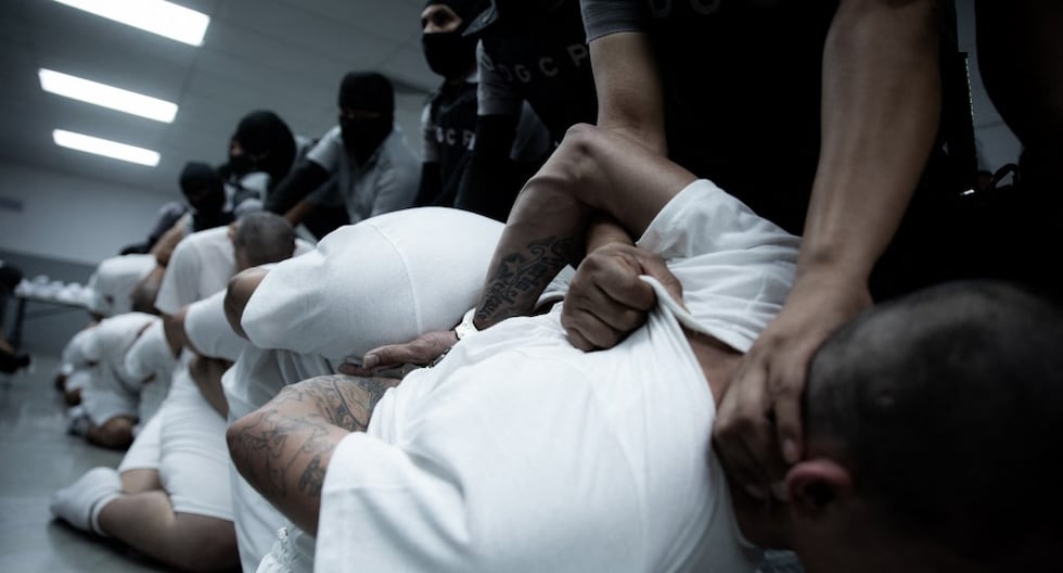 “Crimen de lesa humanidad”: Venezuela arremete contra EE.UU. por expulsar migrantes a cárcel salvadoreña | MUNDO “Crimen de lesa humanidad”: Venezuela arremete contra EE.UU. por expulsar migrantes a cárcel salvadoreña | MUNDO