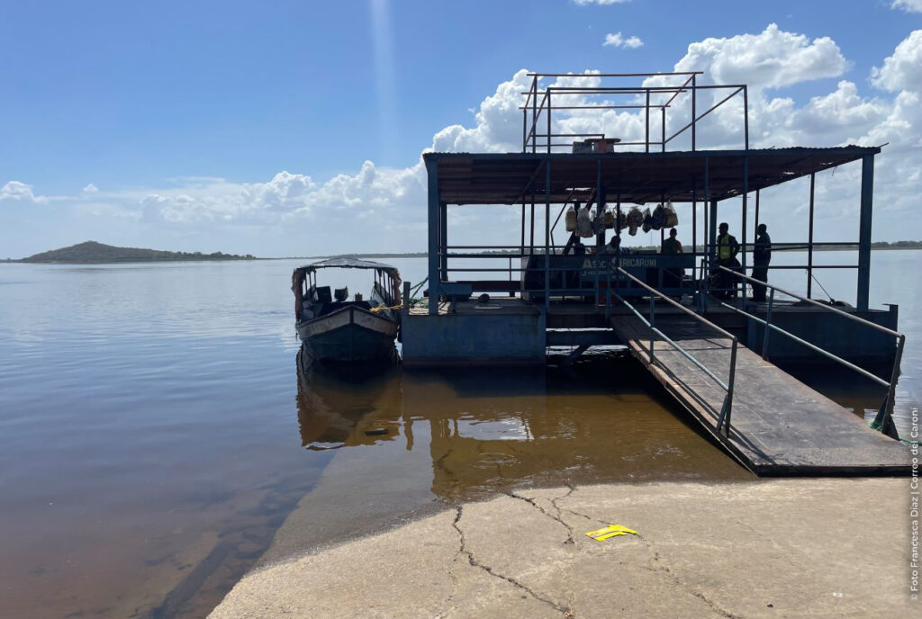 Niño de 11 años cumple 48 horas desaparecido en aguas del río Orinoco tras hundimiento de curiara – Correo del Caroní Niño de 11 años cumple 48 horas desaparecido en aguas del río Orinoco tras hundimiento de curiara – Correo del Caroní
