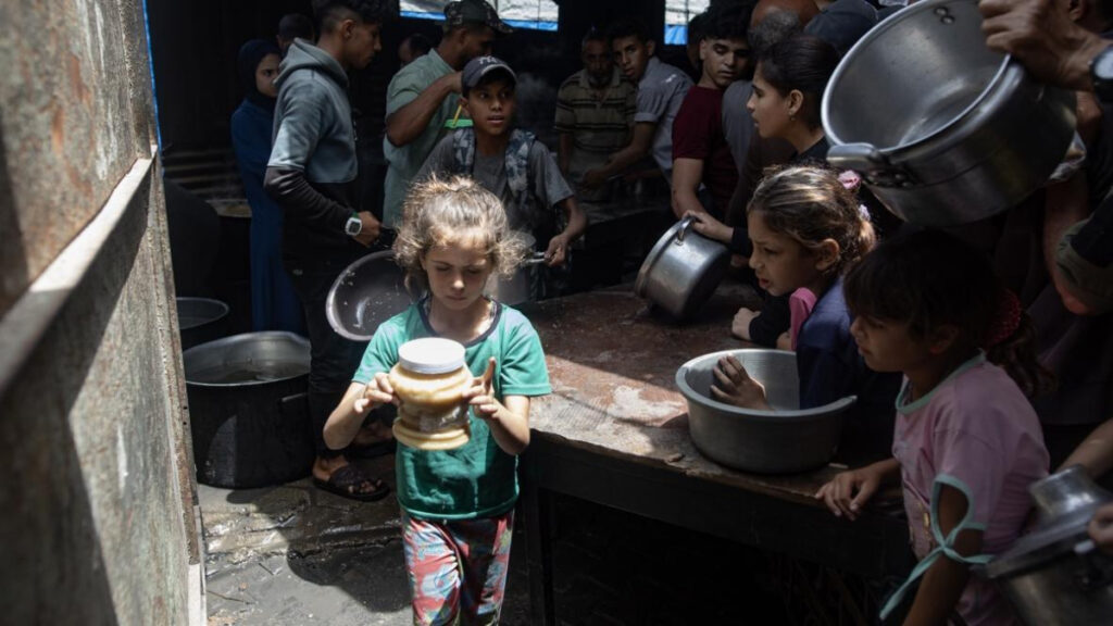 Suspendido el sistema privado de reparto de ayuda para Gaza auspiciado por Israel y EEUU Suspendido el sistema privado de reparto de ayuda para Gaza auspiciado por Israel y EEUU