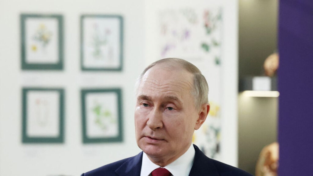 Putin, sobre las negociaciones de paz con Ucrania: “Estamos en el buen camino” Putin, sobre las negociaciones de paz con Ucrania: “Estamos en el buen camino”