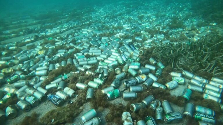 Latas recicladas y agua de mar